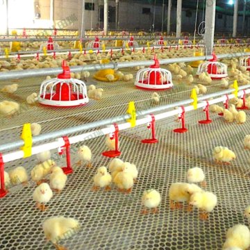 High quality broiler floor equipment | Broiler farming solutions