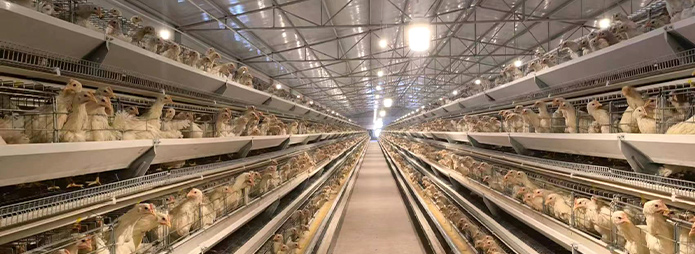 A Type Layer Equipment