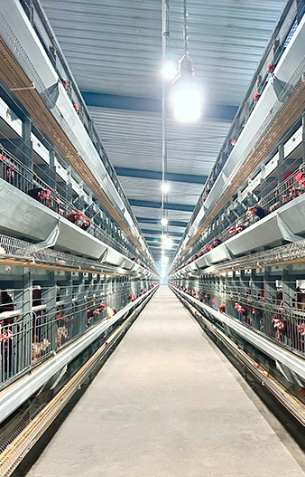 Breeder Cage Equipment