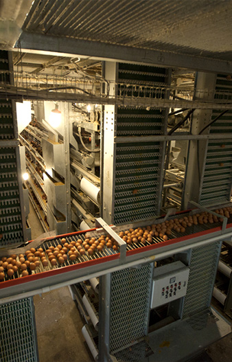 Other Related Equipment